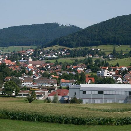 Ferienwohnung Seelbach  Exteriör bild