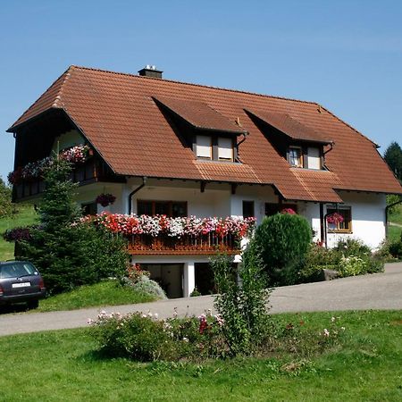 Ferienwohnung Seelbach  Exteriör bild