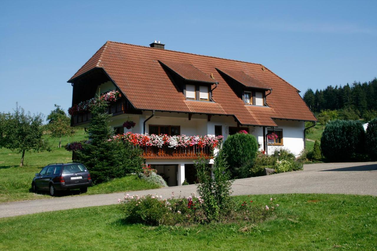 Ferienwohnung Seelbach  Exteriör bild