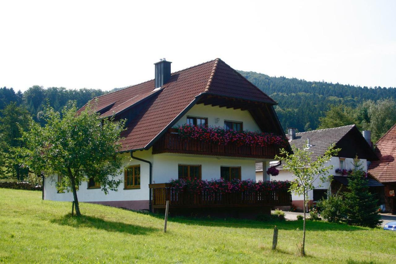 Ferienwohnung Seelbach  Exteriör bild