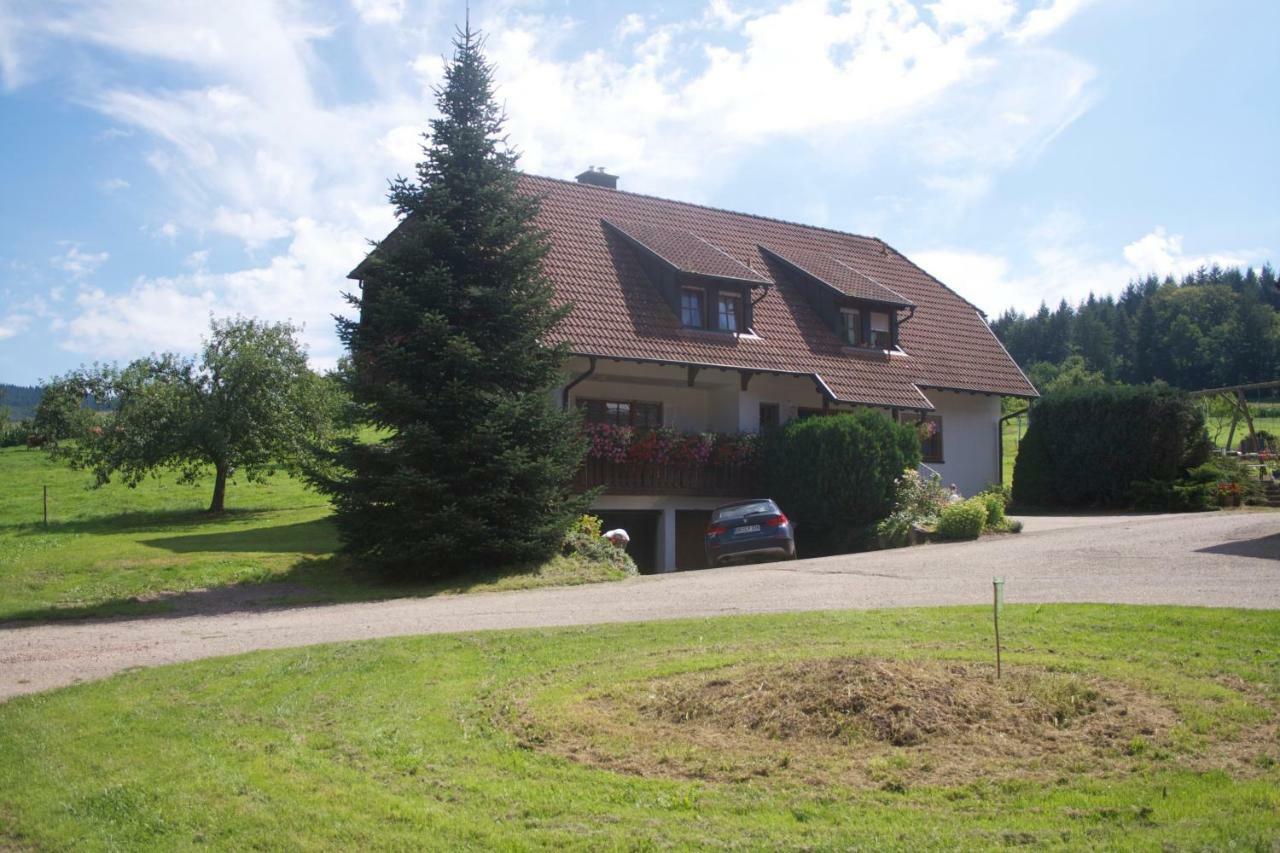 Ferienwohnung Seelbach  Exteriör bild